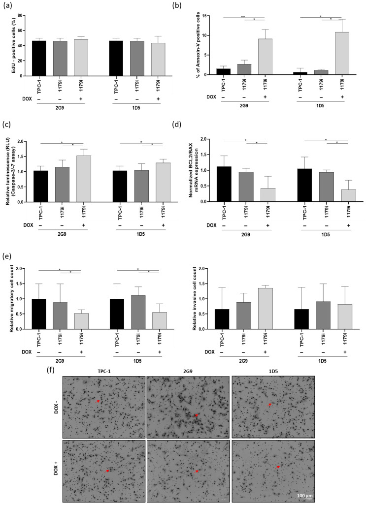 PMC13163138 – cells-15-00802-f003