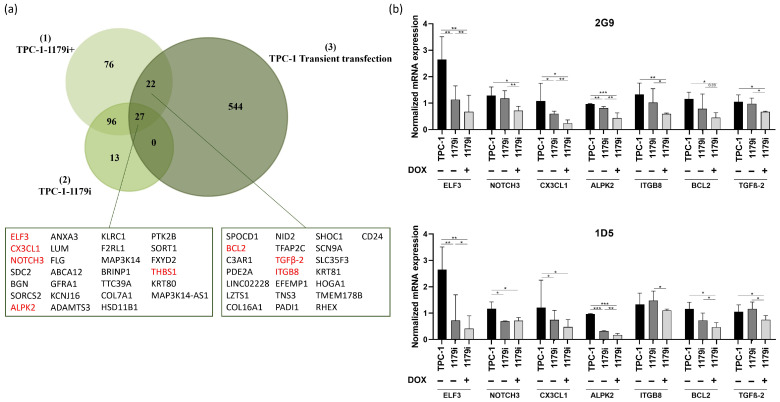 PMC13163138 – cells-15-00802-f004
