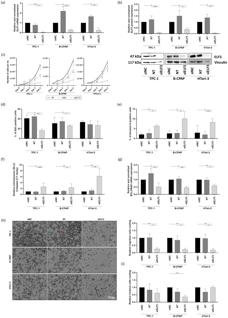 PMC13163138 – cells-15-00802-f006