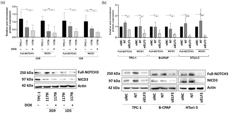 PMC13163138 – cells-15-00802-f008