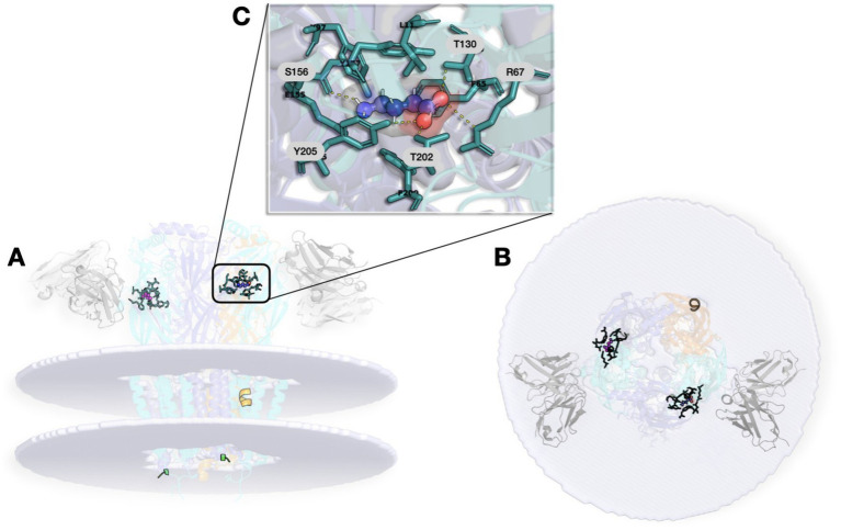 PMC13212339 – fig1