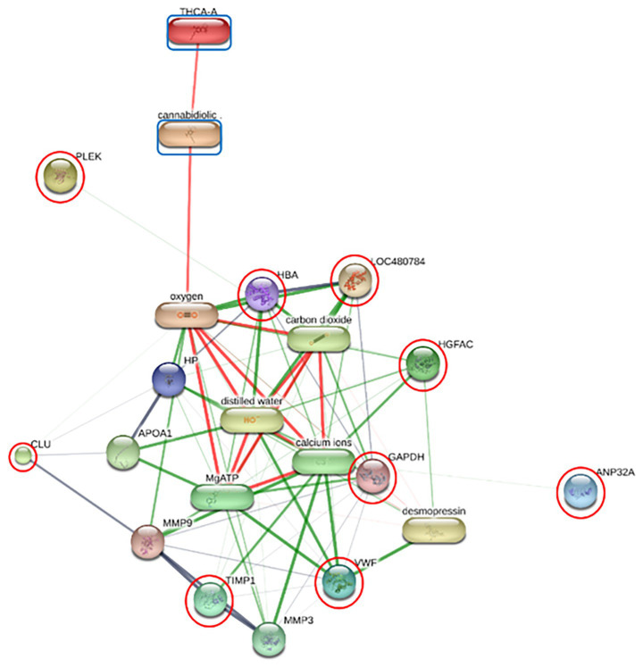 PMC13212459 – fig4