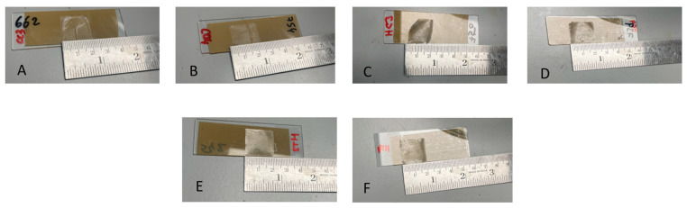 PMC13206667 – gels-12-00386-f004
