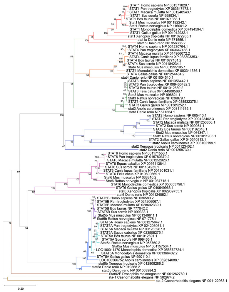 PMC13206669 – genes-17-00547-f001