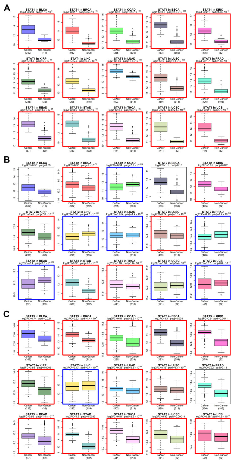 PMC13206669 – genes-17-00547-f002