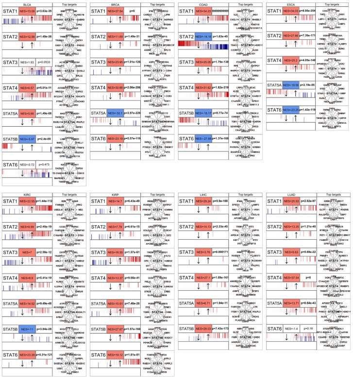 PMC13206669 – genes-17-00547-f004