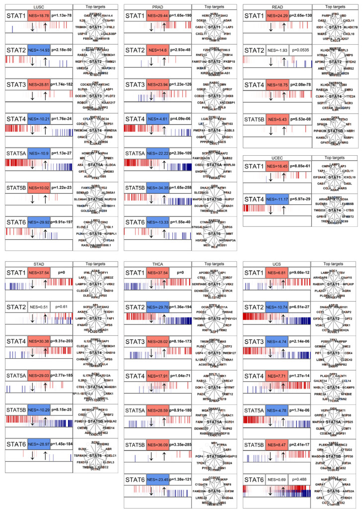 PMC13206669 – genes-17-00547-f005