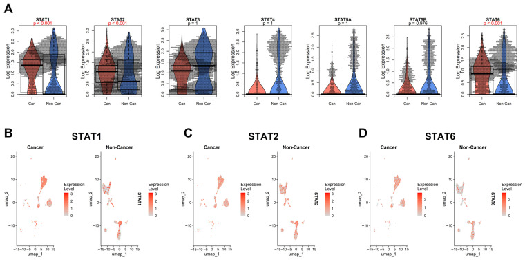 PMC13206669 – genes-17-00547-f006