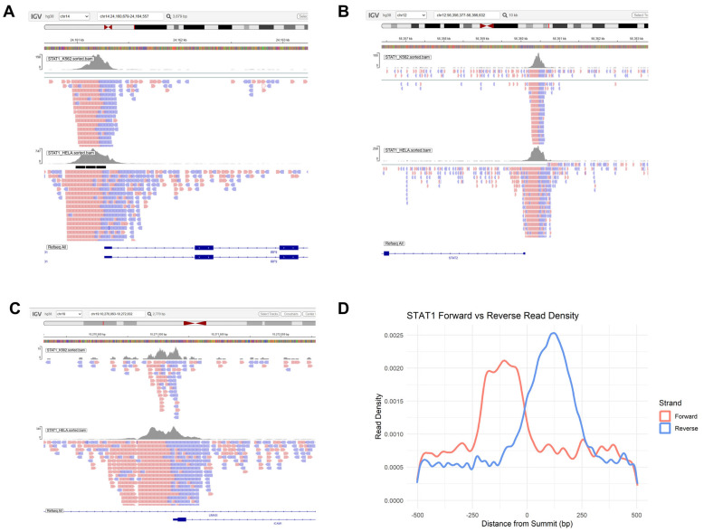 PMC13206669 – genes-17-00547-f007