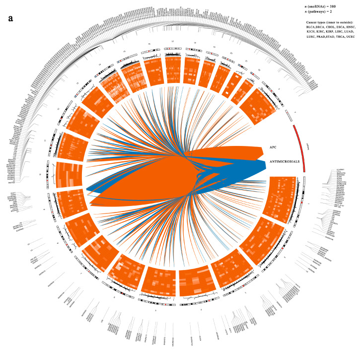 PMC13205779 – genes-17-00581-f003