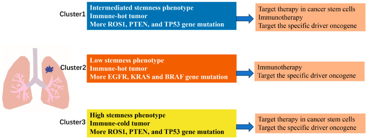 PMC13205779 – genes-17-00581-f007