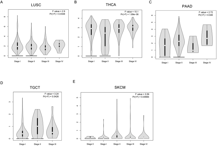 PMC13213766 – fig2