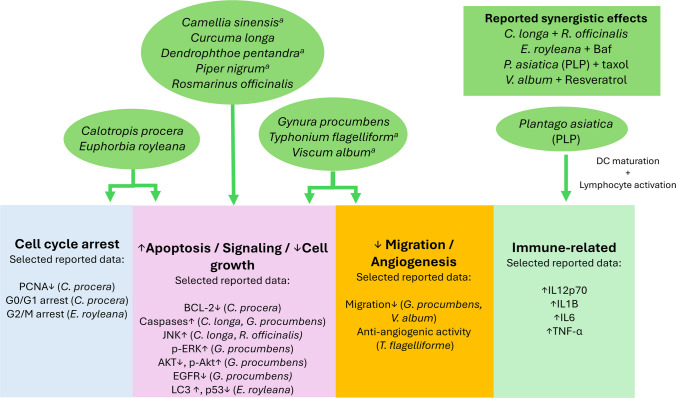PMC13275774 – Fig1