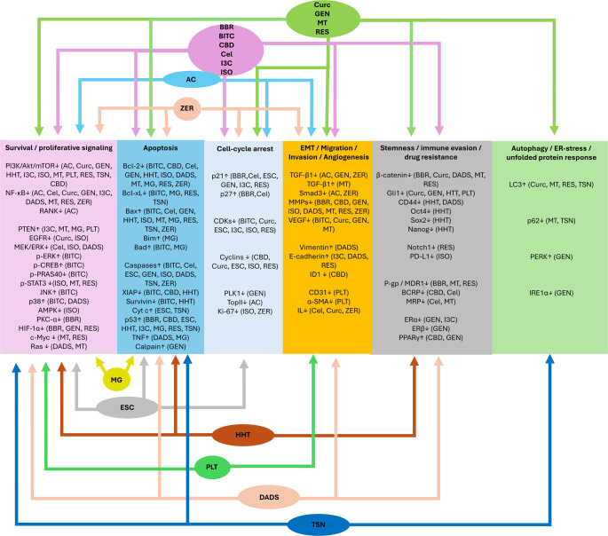 PMC13275774 – Fig2
