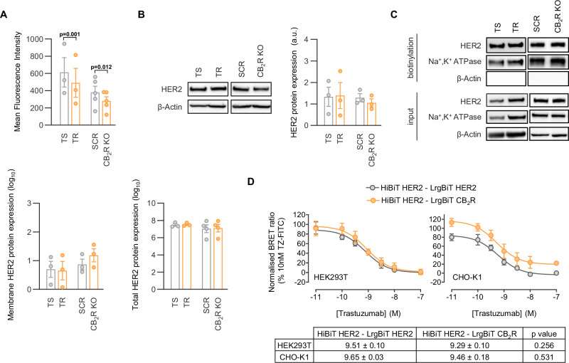 PMC13269139 – Fig3