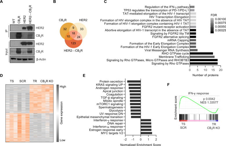PMC13269139 – Fig4