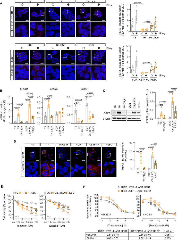 PMC13269139 – Fig6
