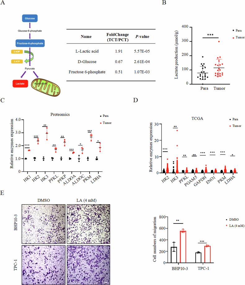 PMC13254147 – Fig1