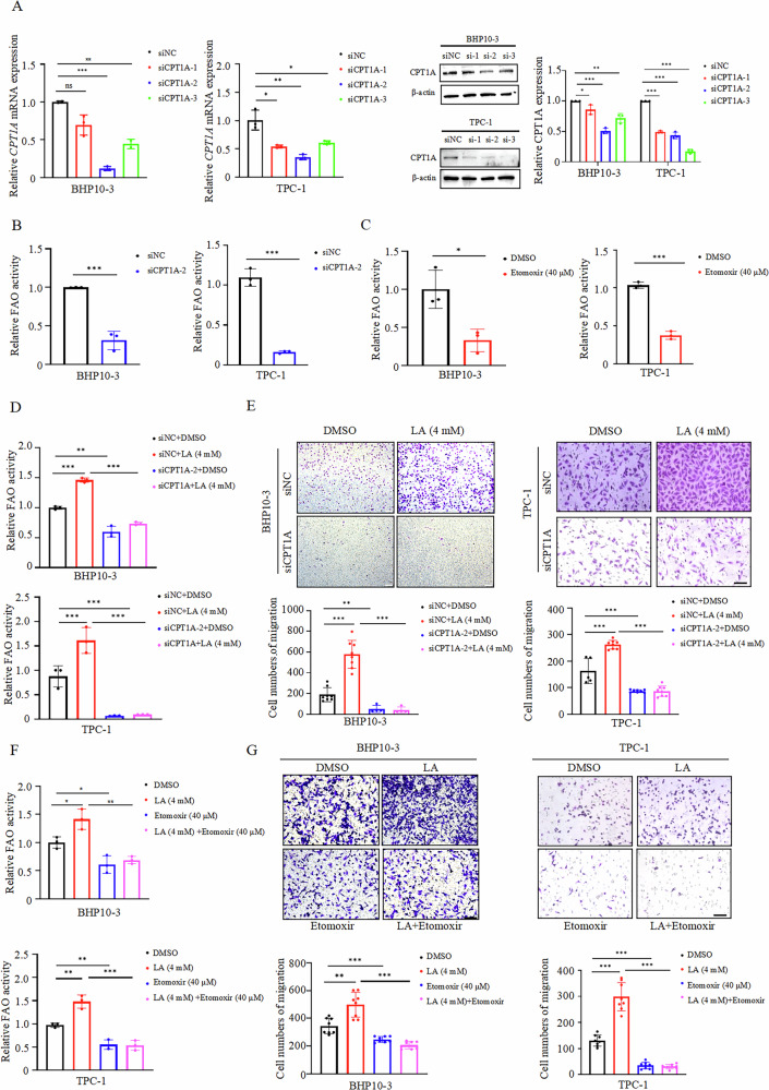 PMC13254147 – Fig3