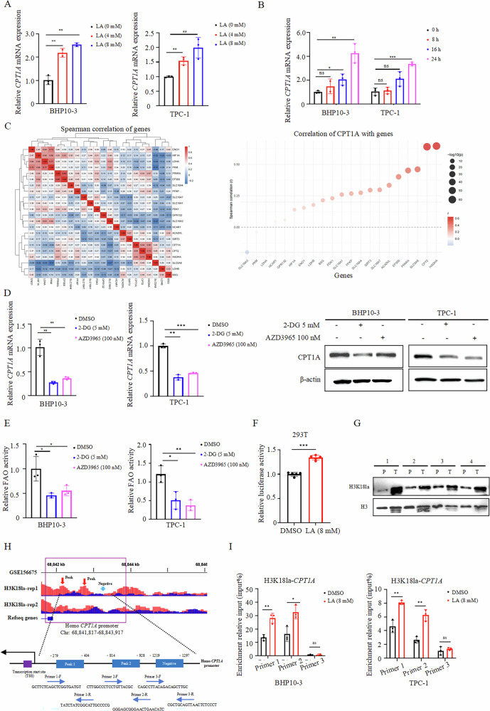 PMC13254147 – Fig4