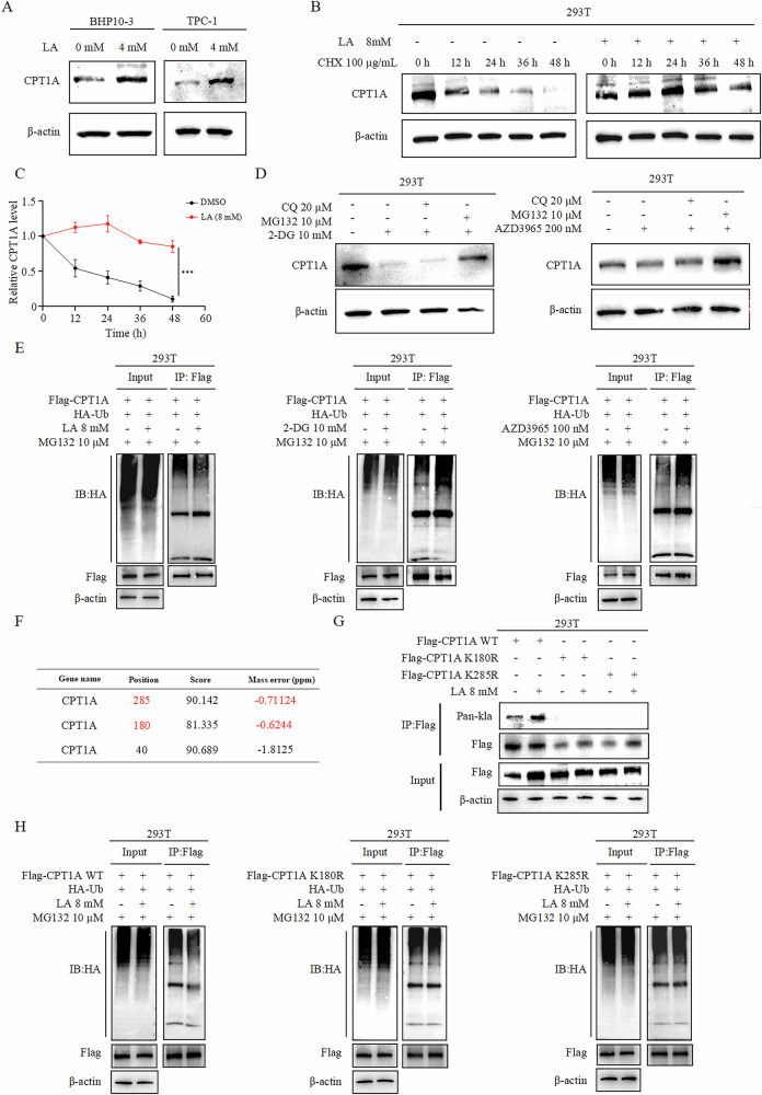 PMC13254147 – Fig5