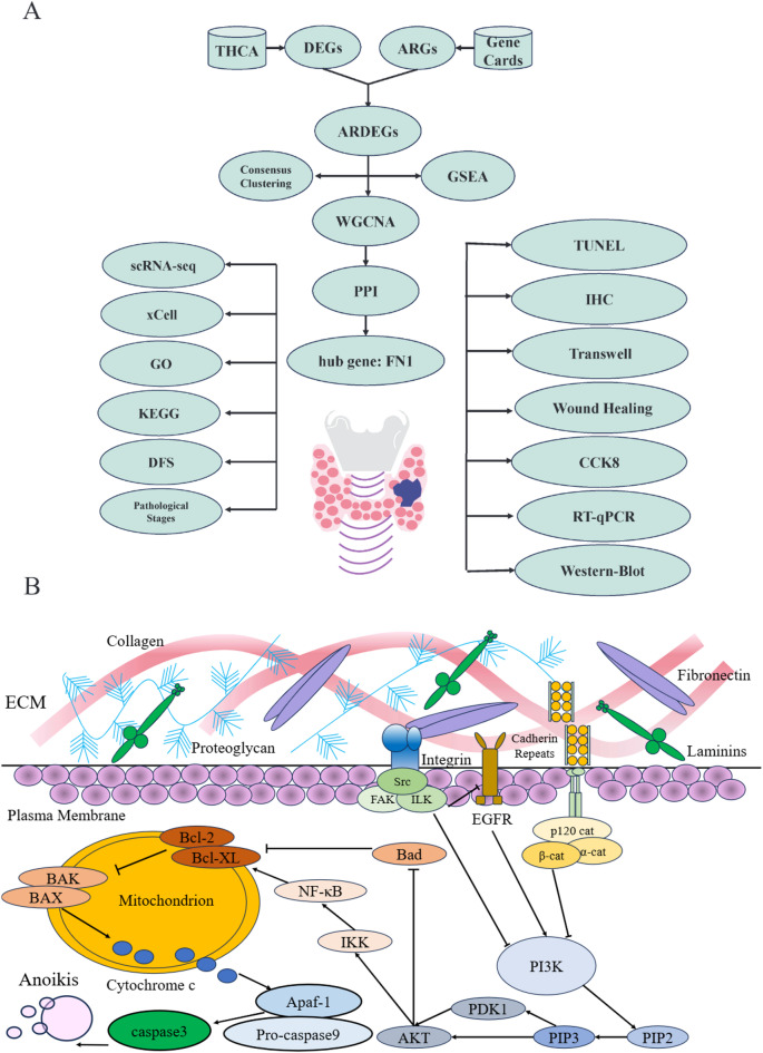 PMC13249844 – Fig1