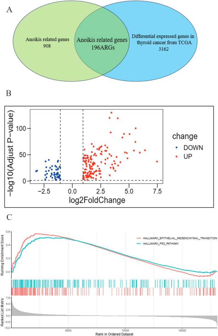 PMC13249844 – Fig2
