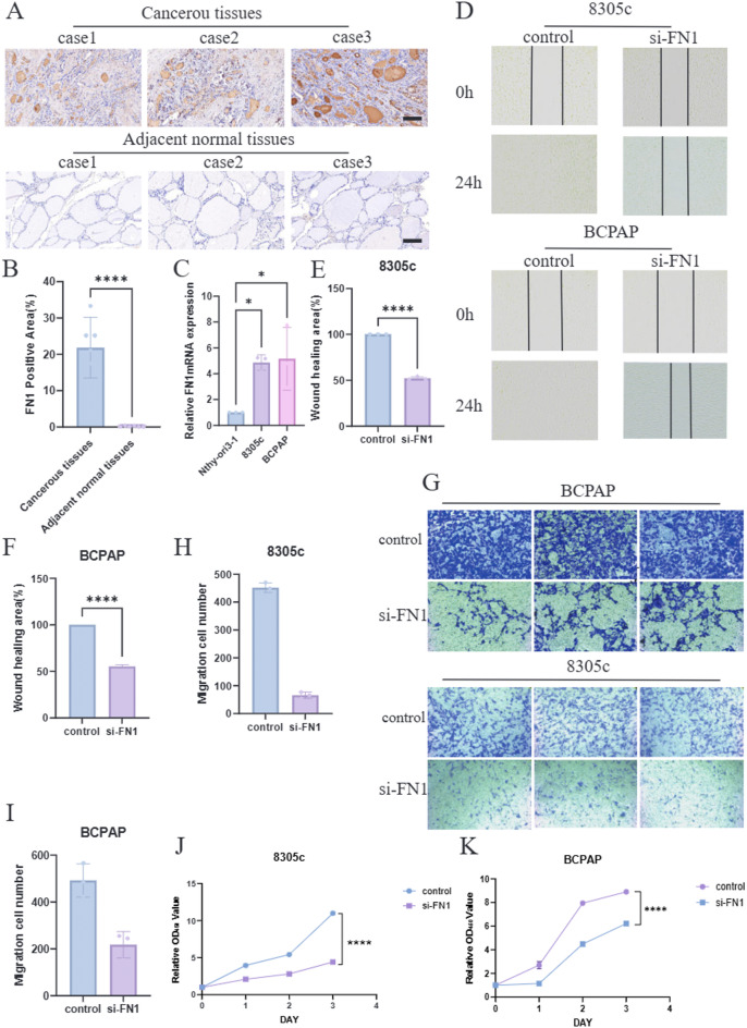 PMC13249844 – Fig7