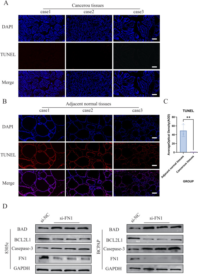 PMC13249844 – Fig8