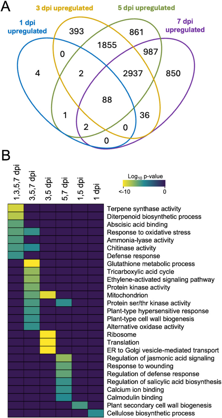 PMC13246782 – Fig4