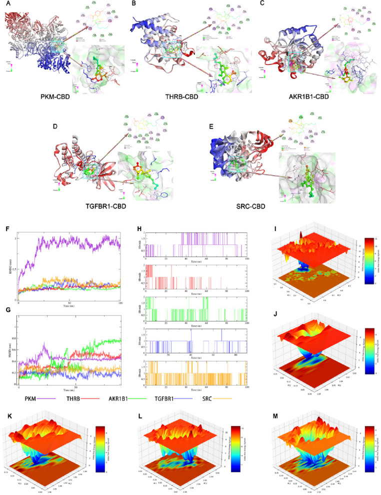 PMC13267379 – Fig7