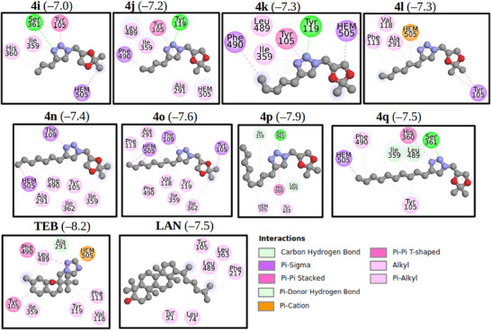 PMC13238394 – cbdv71389-fig-0006