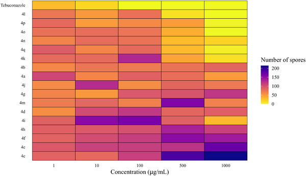 PMC13238394 – cbdv71389-fig-0003