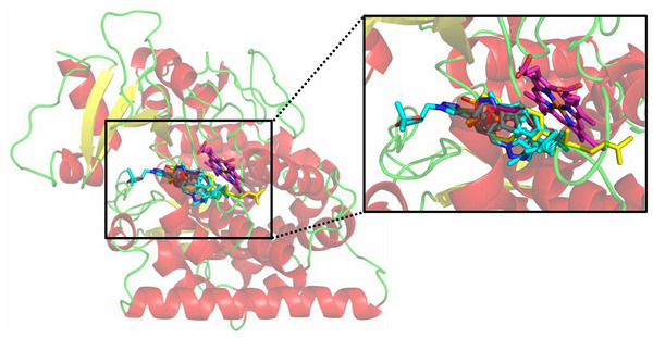 PMC13238394 – cbdv71389-fig-0005