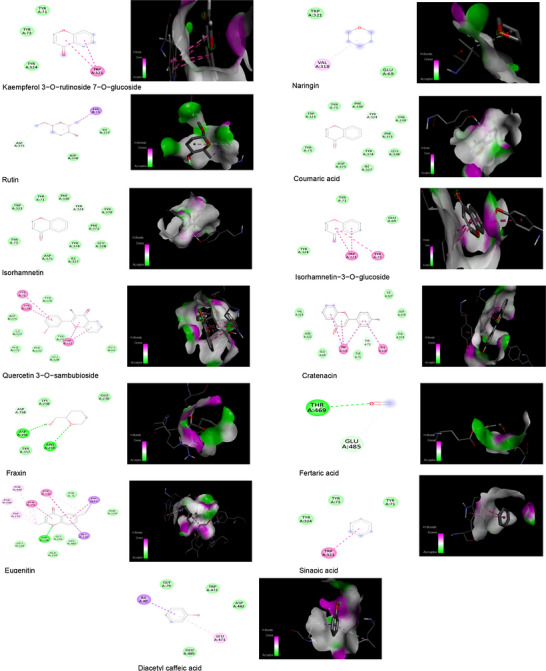 PMC13238382 – cbdv71394-fig-0004