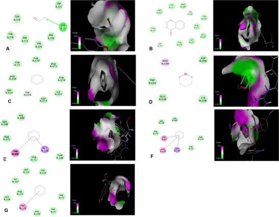 PMC13238382 – cbdv71394-fig-0003