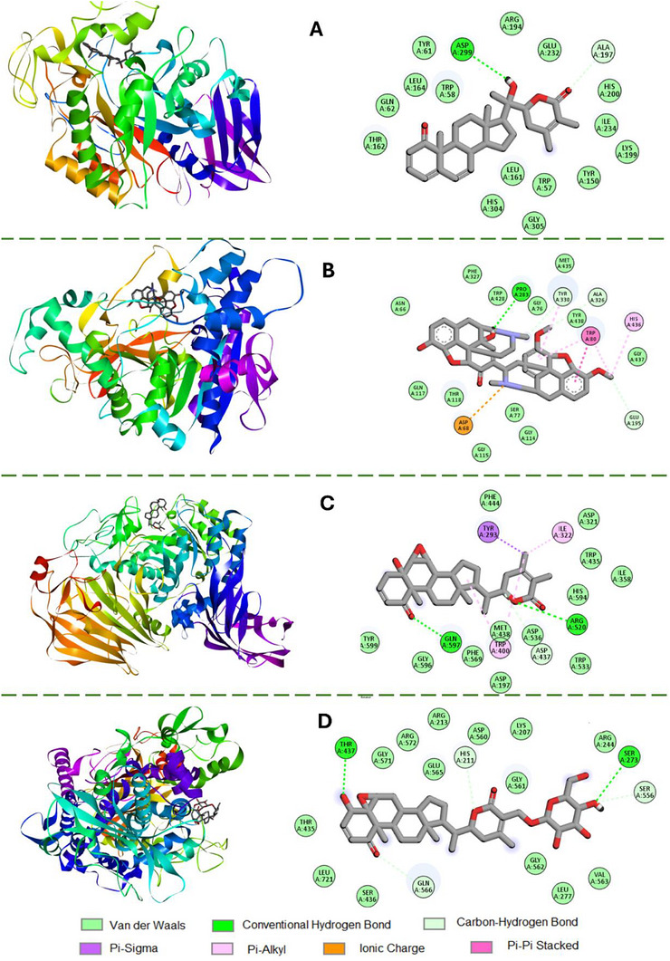 PMC13268574 – cbdv71409-fig-0008