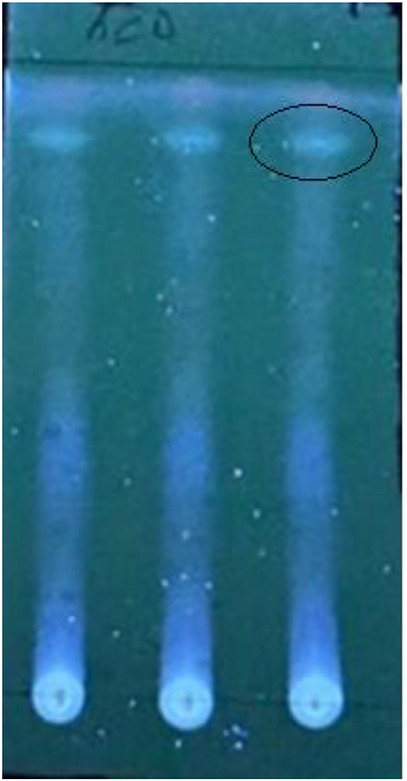 PMC13268574 – cbdv71409-fig-0002