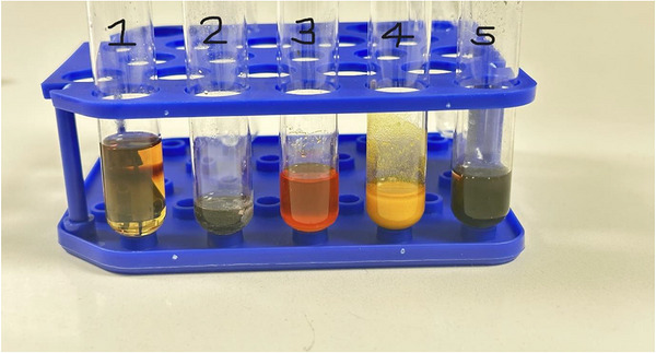PMC13268574 – cbdv71409-fig-0001