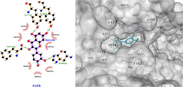 PMC13268575 – cbdv71418-fig-0008