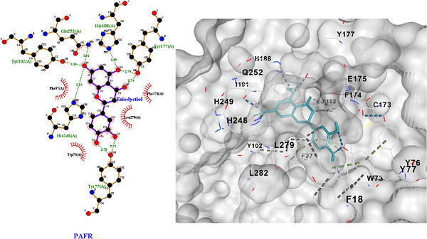 PMC13268575 – cbdv71418-fig-0009