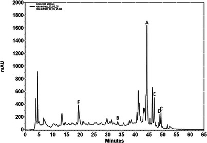 PMC13268575 – cbdv71418-fig-0003