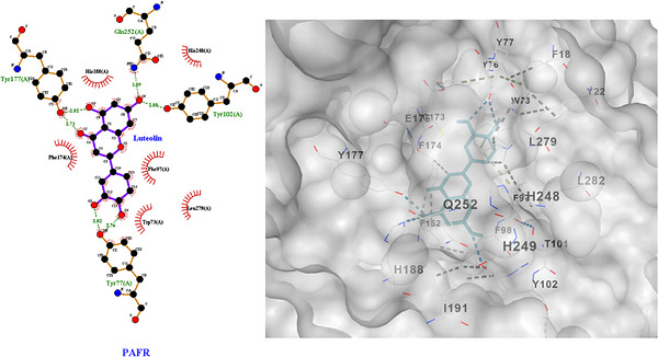 PMC13268575 – cbdv71418-fig-0007