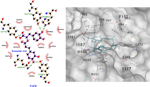 PMC13268575 – cbdv71418-fig-0005