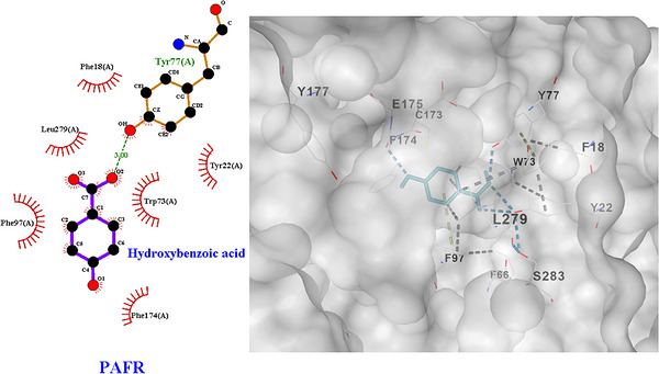 PMC13268575 – cbdv71418-fig-0010