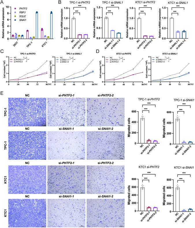 PMC13250642 – fig7
