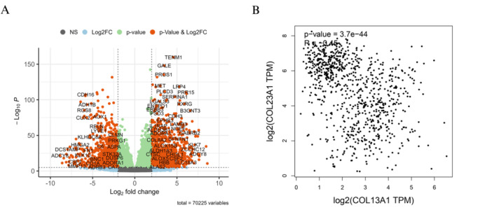 PMC13266370 – hsr272617-fig-0011