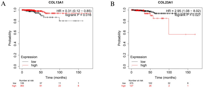PMC13266370 – hsr272617-fig-0004