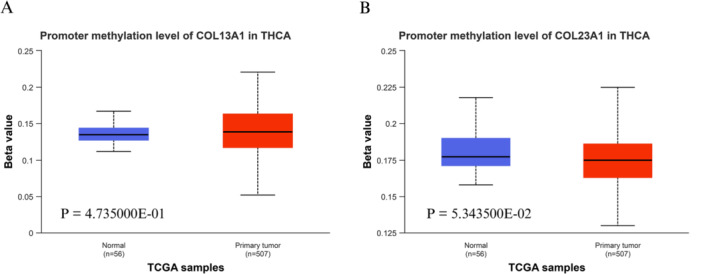 PMC13266370 – hsr272617-fig-0006