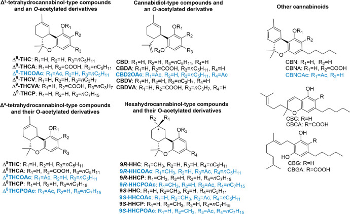 PMC13261594 – fig1